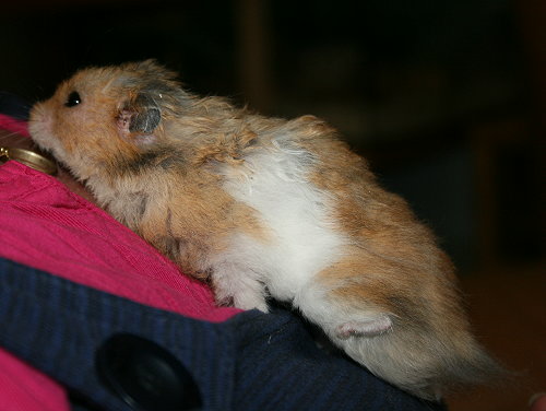 max05.jpg