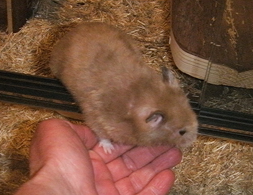 tiana07.jpg