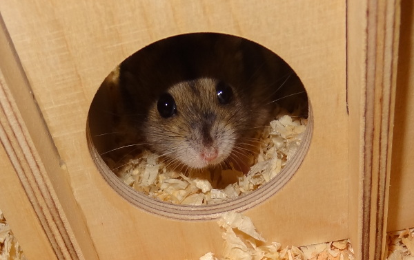 Bild von Wolfgang, geb. 22.03.2017