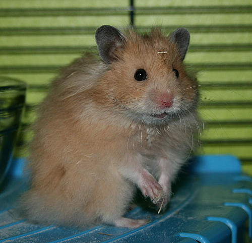 baxter5.jpg