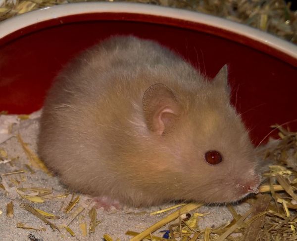 Bild von Marilyn, geb. 07.06.2017