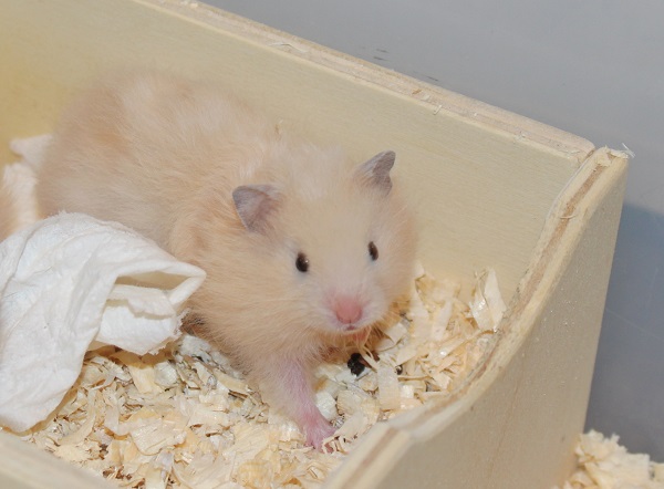 Bild von Josef, geb. 29.08.2025