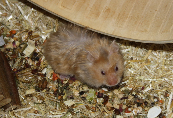 Bild von Jasina, geb. 02.09.2019