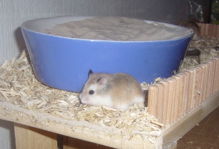 Baby_010.jpg