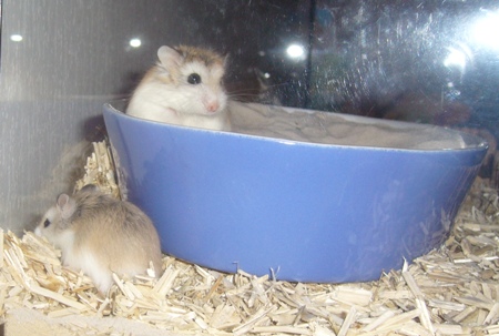 Baby_012.jpg