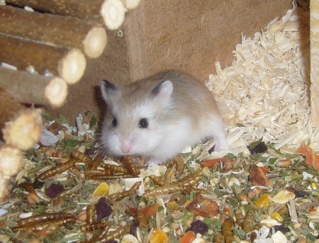 Baby_015.jpg