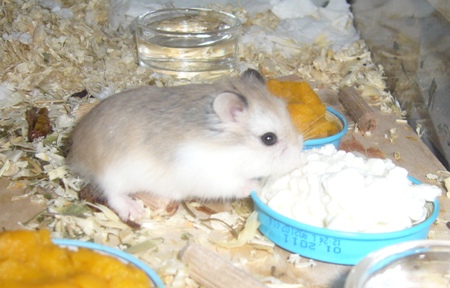 Baby_017.jpg