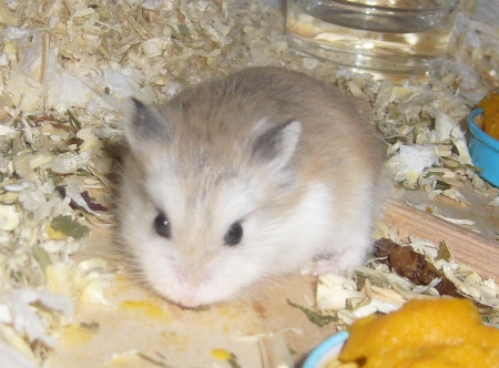 Baby_018.jpg