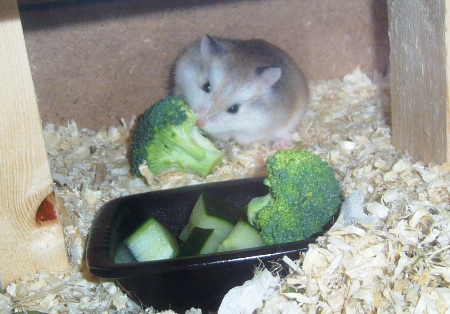 Baby_020.jpg