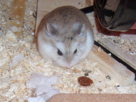 Marie_013.jpg