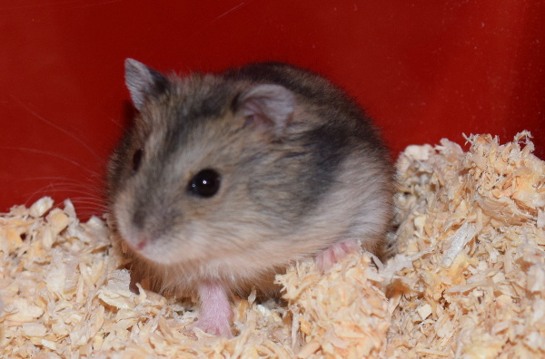 Bild von Finja, geb. März 2018