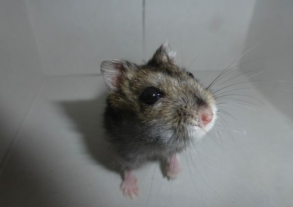 Bild von Quinn, geb. Juli 2017
