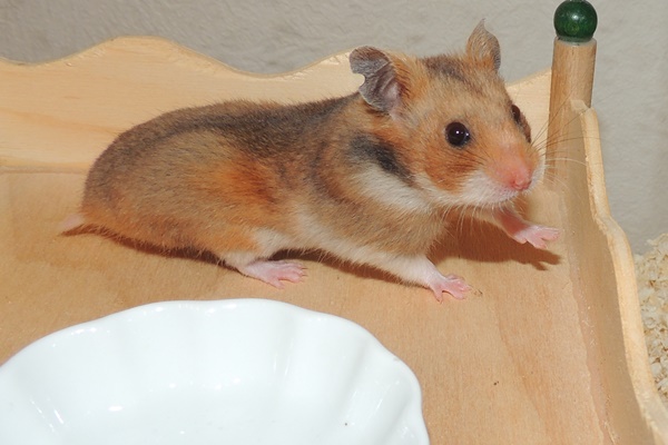 Bild von Meia, geb. 25.07.2023