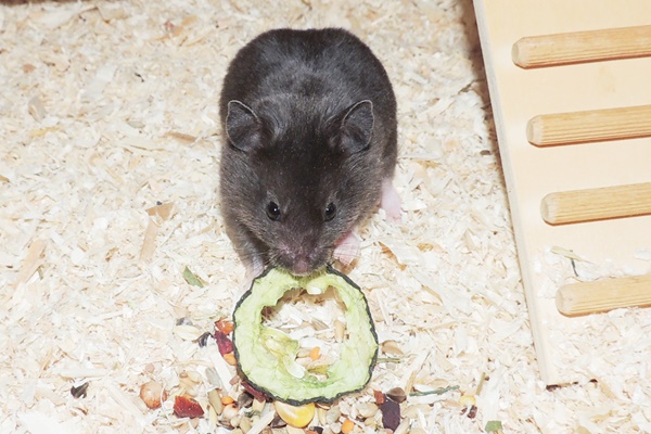 Bild von Lou, geb. Ende Juli 2023