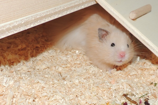 leevi5.JPG