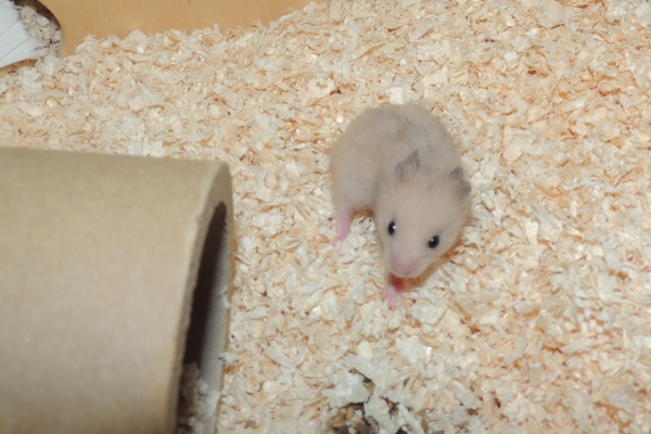 Bild von Finley, geb. Mitte August 2025