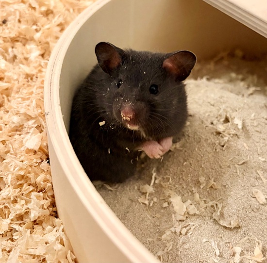 Bild von Emma, geb. 20.12.2025