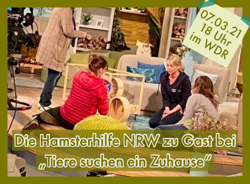 Tsez070321.jpg