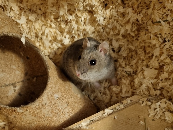 Bild von Gwendolin, geb. Juli 2024