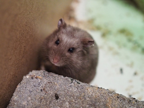 Bild von Esha, geb. Juli 2020