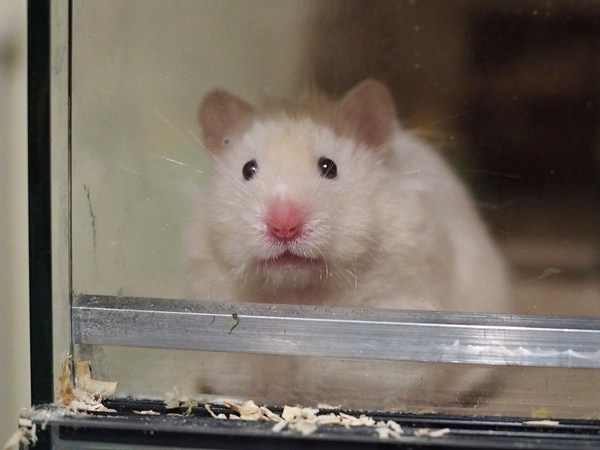 Bild von Annalena, geb. März 2021