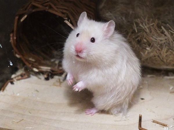 Bild von Jill, geb. März 2021