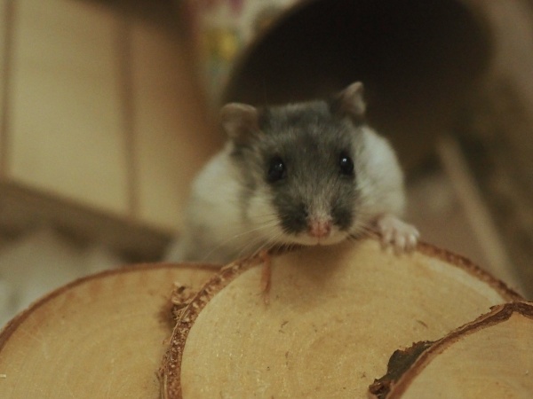 Bild von Pablo, geb. September 2025