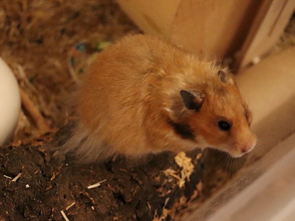 20261009_Doris_01.JPG