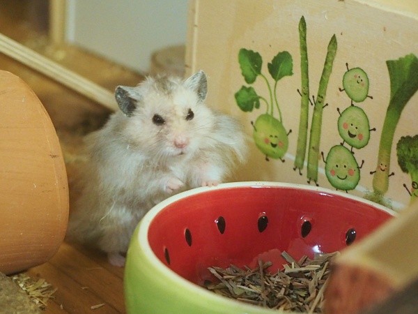 20250907_Mican_03.JPG