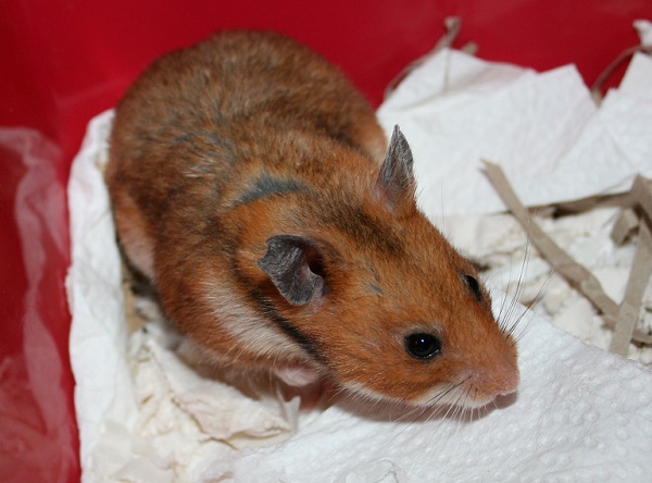 Bild von Brigitte, geb. 25.04.2022