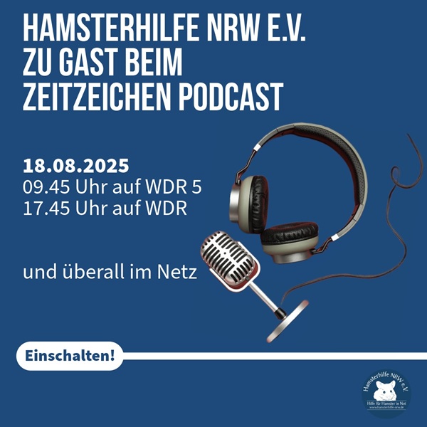 zeitzeichen02.jpg