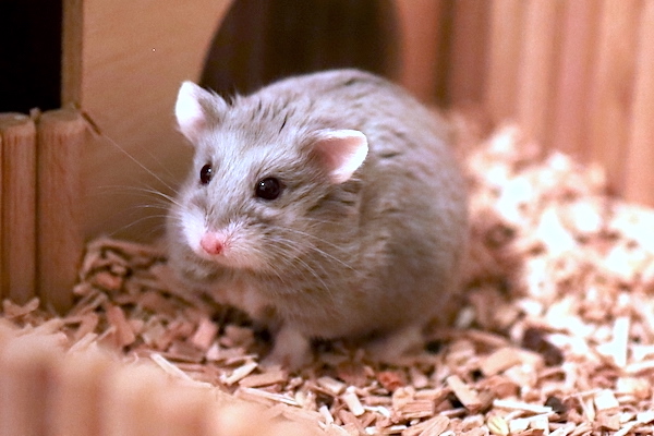 Bild von Oswald, geb. 10.08.2025