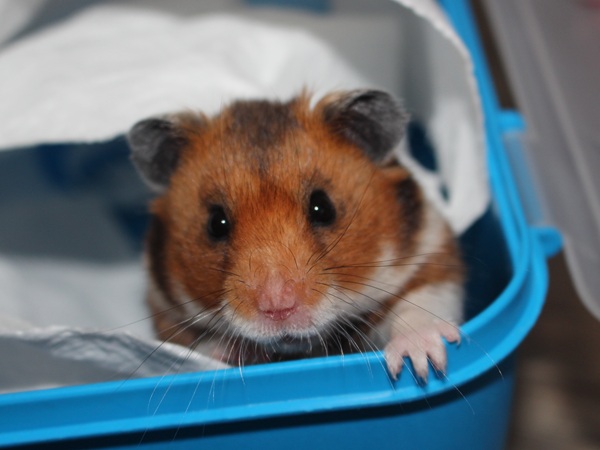 1.JPG