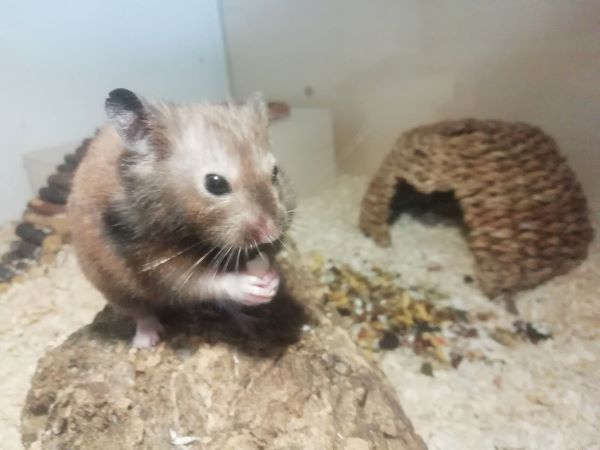 Gilbert2%20%282%29.jpg