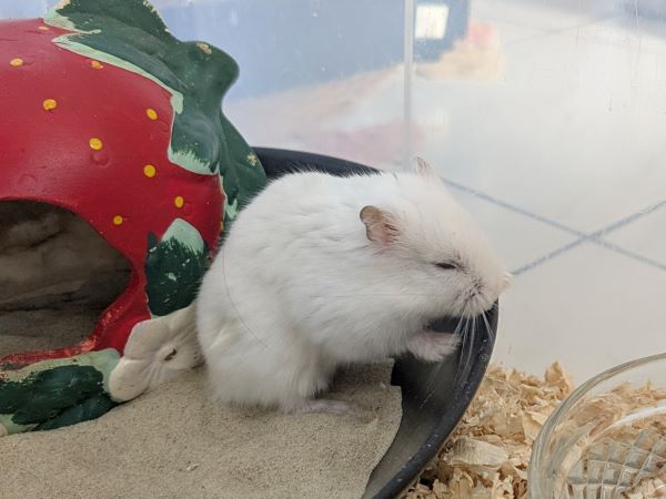 Ronnie%20%284%29.jpg