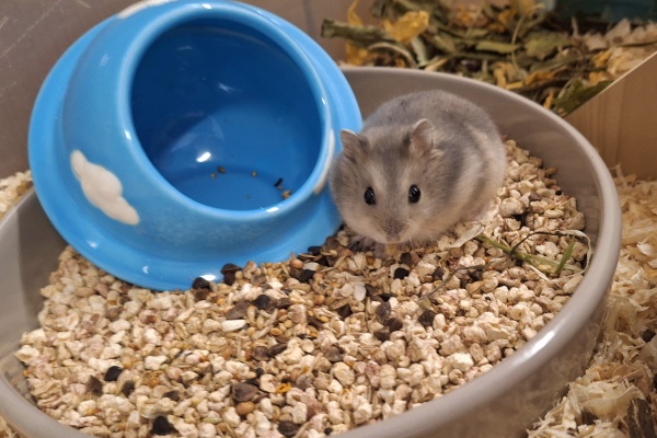 Bild von Olli, geb. 07.05.2025