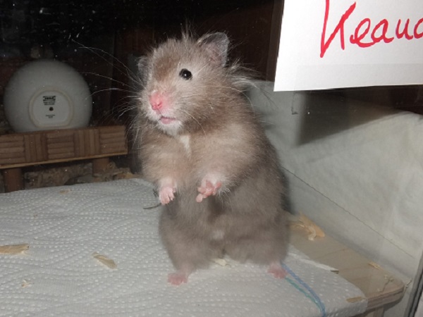 keana2-7.JPG