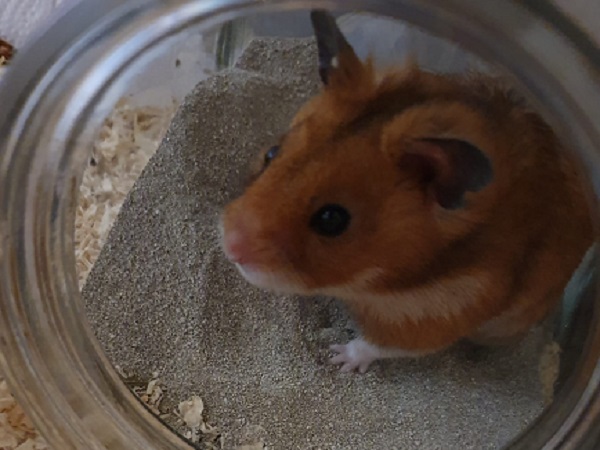 Bild von River Song, geb. 23.11.2020