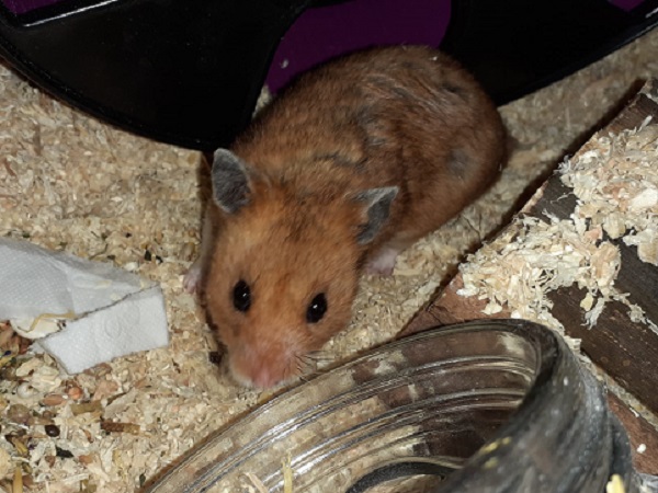 Bild von Rory Williams, geb. 14.06.2020