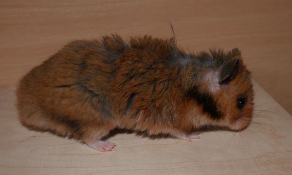 Bild von Nate\