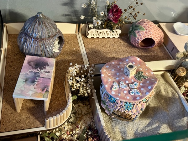 Hedwig%201.4.jpg