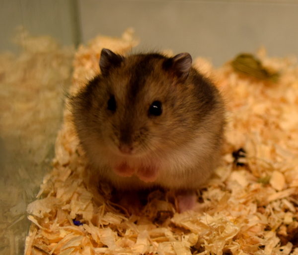 Bild von Erwin, geb. August 2021