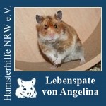 angelinalp.jpg