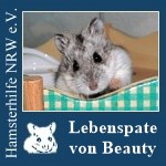 beautylp.jpg