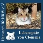 clemenslp.jpg