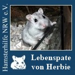 herbielp.jpg