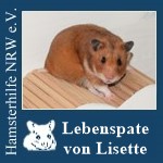 lisettelp.jpg
