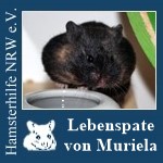 murielalp.jpg