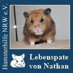 nathanlp.jpg