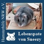 sneezylp.jpg